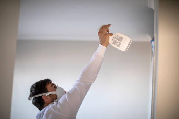 Best Bathroom Mold Remediation in Cologne, NJ